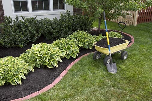 Landscaping Maintenance